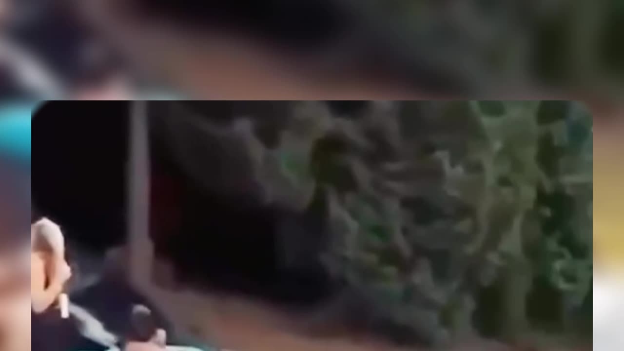 Try to Not Laugh Challenge No. 10