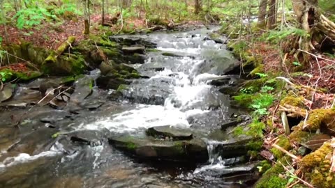 Captivating Cascade