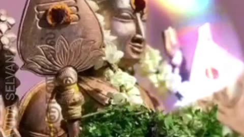 வடிவேலன் TMS LEGEND M.THIRAVIDA SELVAN SINGAPORE TMS FANS 2025