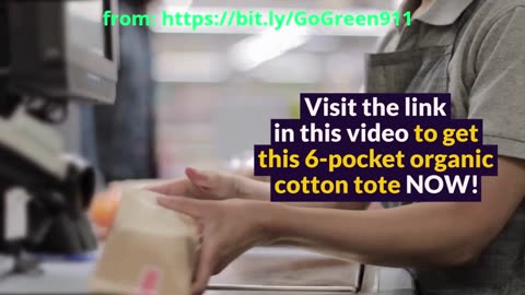 I Tested Every Grocery Bag – Side-by-Side Review: This 6-Pocket Tote vs. Standard Reusable Bags