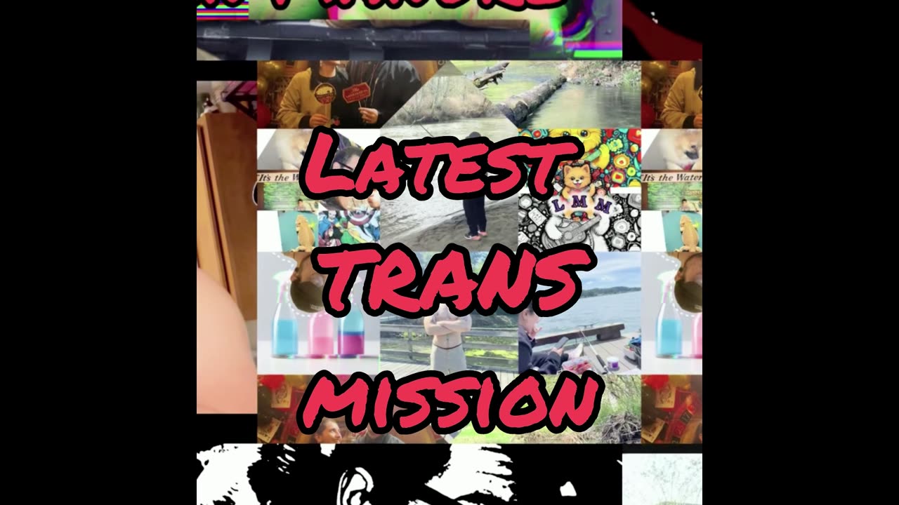 What Transmed ACTUALLY Means