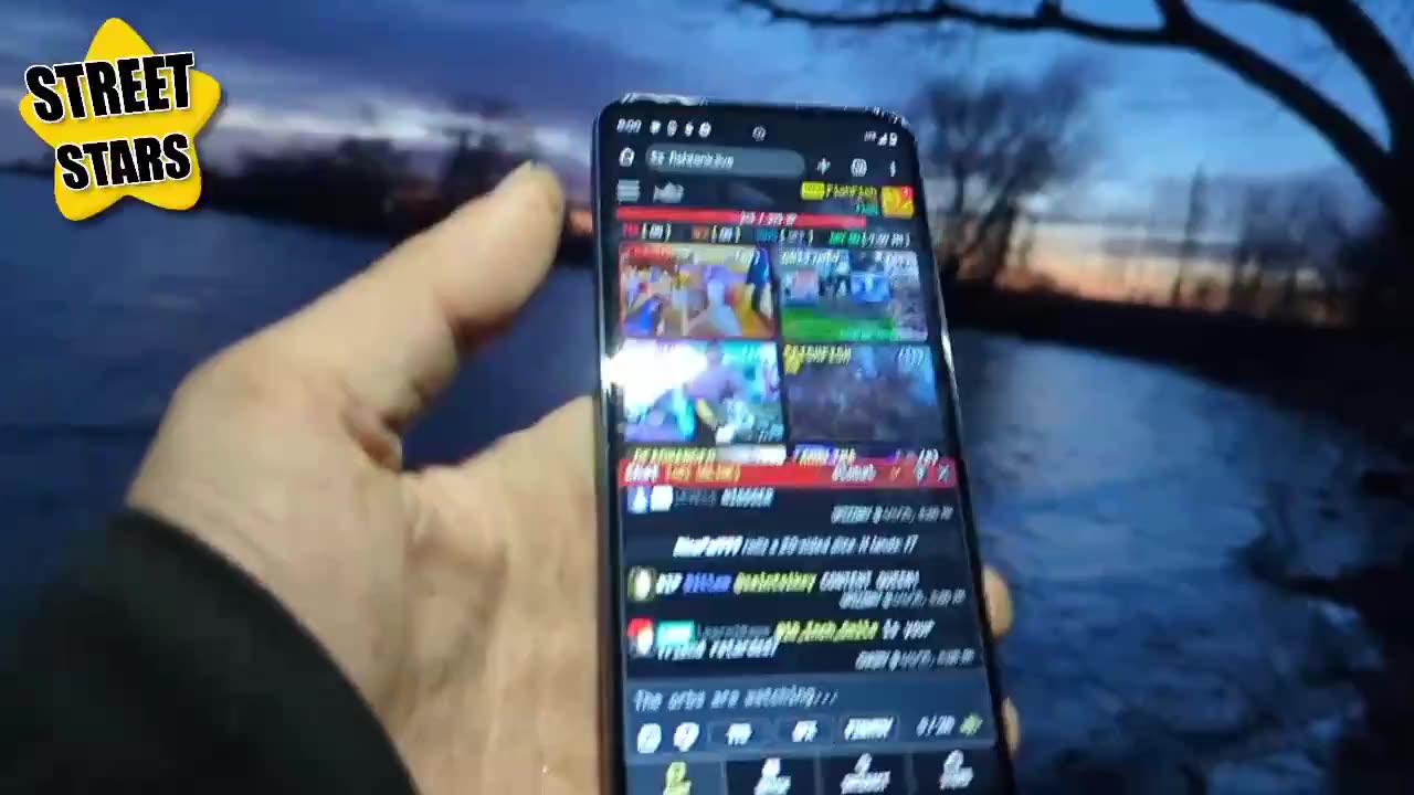 FishFish watching the sunset with chat
