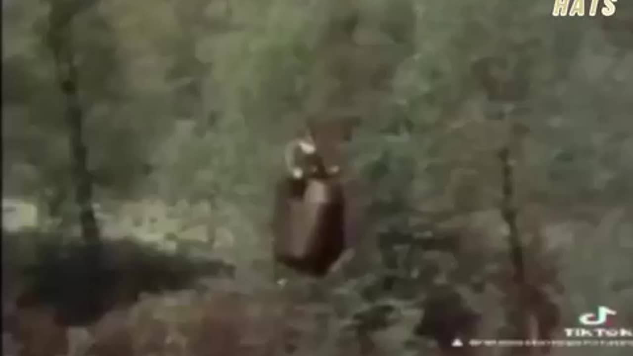 beyond beyond drones