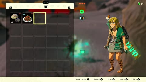 True One life totk #2