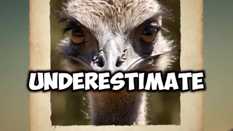 The Emu War: When Australia Went to War with Birds