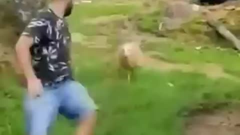 Funny