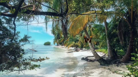 1 Hour of Smooth Jazz by the Sea 🌴 | Relaxing Piano, Saxophone & Ocean Waves for Sleep & Study