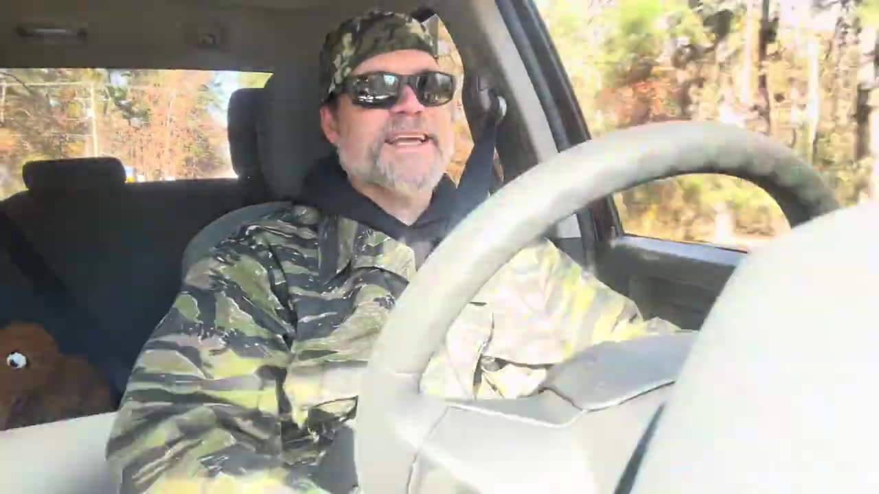 Captain’s in the Pines🌲🌲#trending #hike