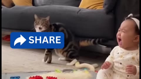 Kids Playing with Dogs and Cats | Cute Baby & Pet Friendship Moments 🐶🐱