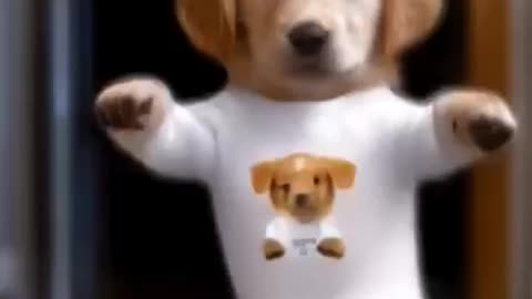 Dog Dance Motorcycle