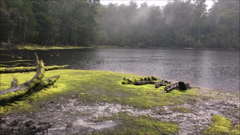 Lake Chisholm Hike (Tasmania, Australia)