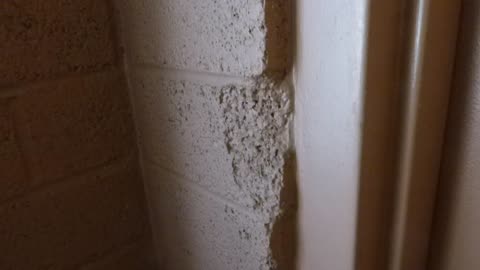 Cracks near the door and window, looks like someone took a big bite out of the wall!