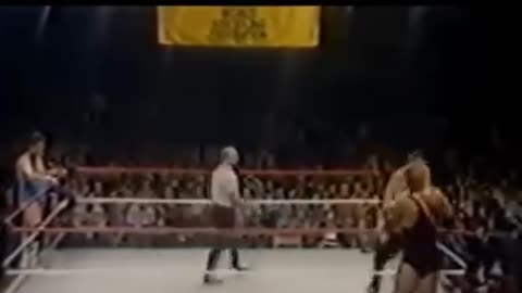 RODDY PIPER WWF DEBUT