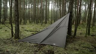 100 plus - Wilderness Survival Tips