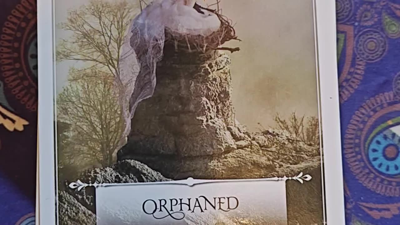 Oracle Card Reading 8/25/25