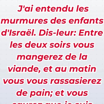 « Dieu pourvoit à la faim de son peuple » Exode 16:12.#shortvideo #shorts #ytshorts #youtube #reels