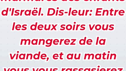 « Dieu pourvoit à la faim de son peuple » Exode 16:12.#shortvideo #shorts #ytshorts #youtube #reels