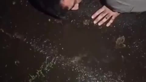 Illegal immigrant from Pakistan caught trying to meet 11 year old British girl