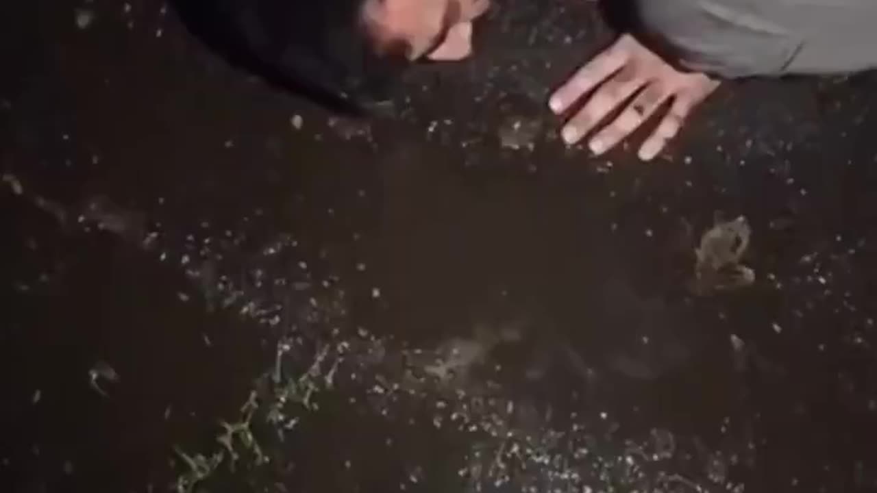 Illegal immigrant from Pakistan caught trying to meet 11 year old British girl
