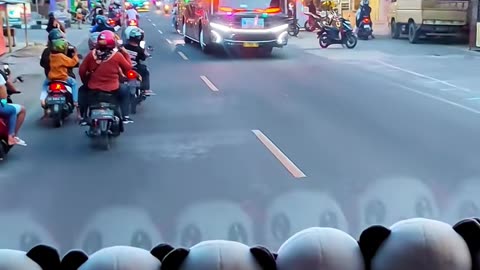 Bus mania 1