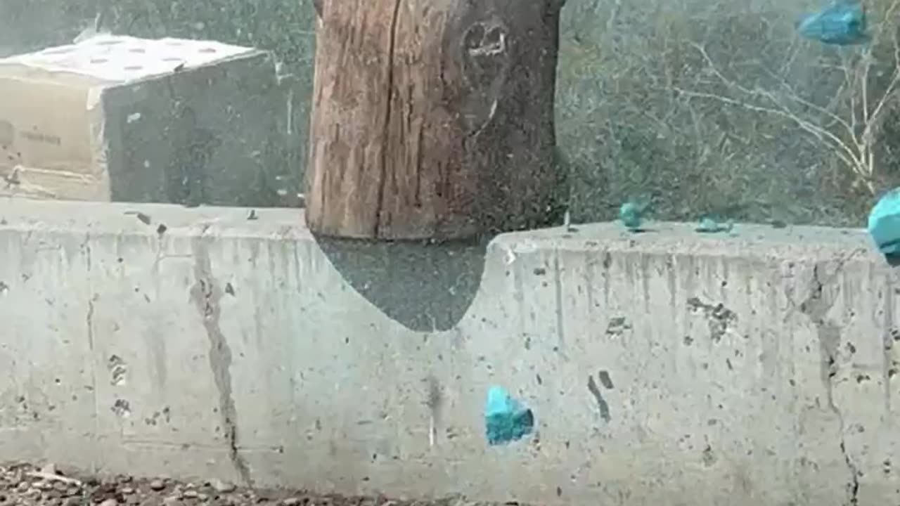 Big bore test! .577 Nitro Express vs. a 50lb salt block