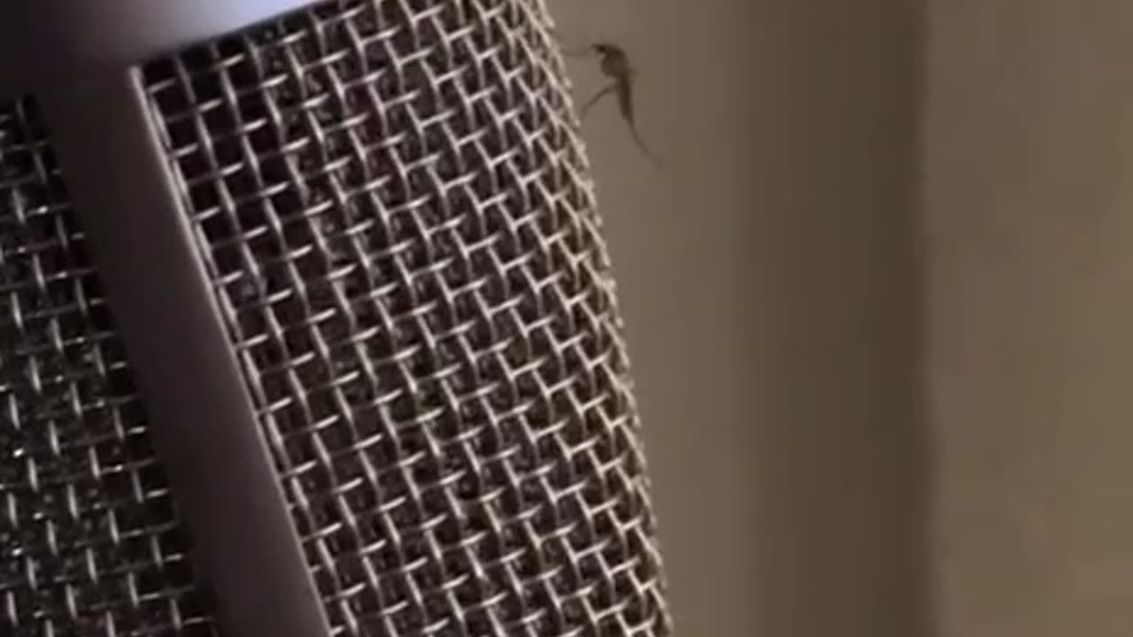 News Break 2