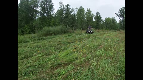Throw and roll barley 2025