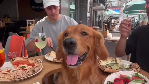🤣🍕 You Won't Believe Who Gets the Prime Spot! | FunFM