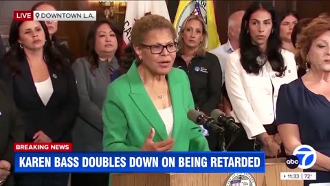 MAYOR KAREN BASS LOS ANGELES PRESS BRIEFING PARODY