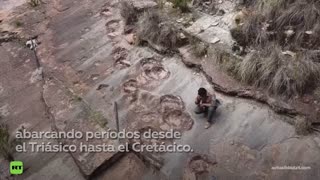 🔎🦖 Realizan en Bolivia el mayor hallazgo de huellas de dinosaurios