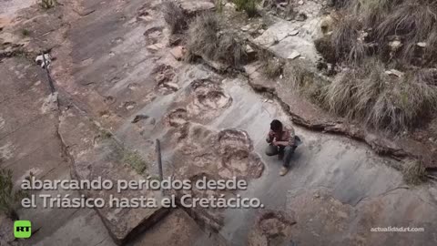 🔎🦖 Realizan en Bolivia el mayor hallazgo de huellas de dinosaurios