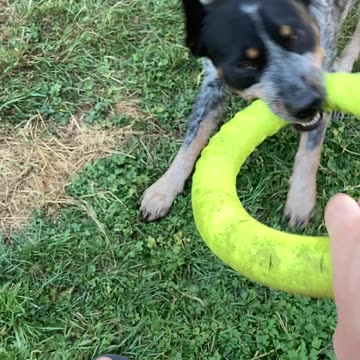 slow mo hoop tug 2904832098403298