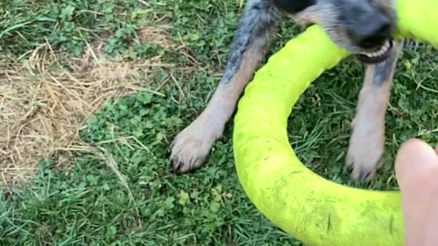 slow mo hoop tug 2904832098403298