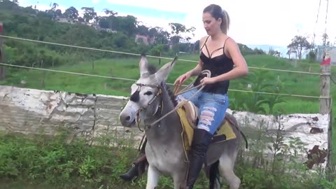 Women Riding Donkey
