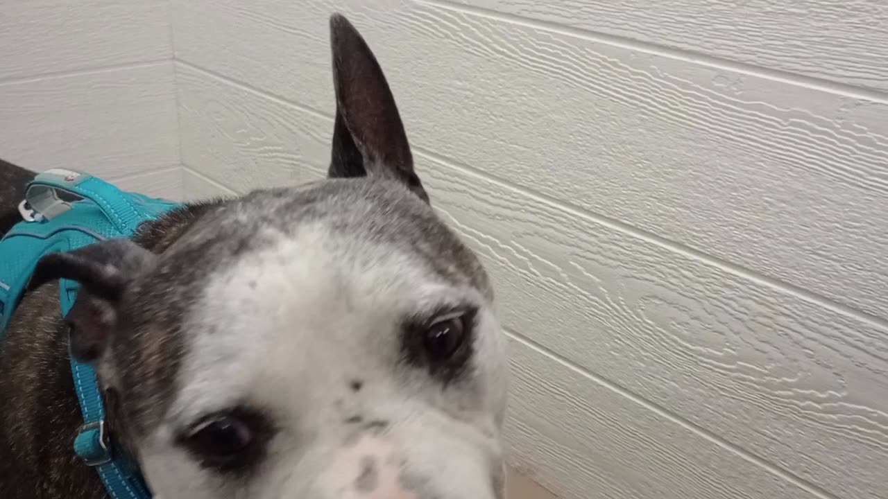 VID_20250504_143833349