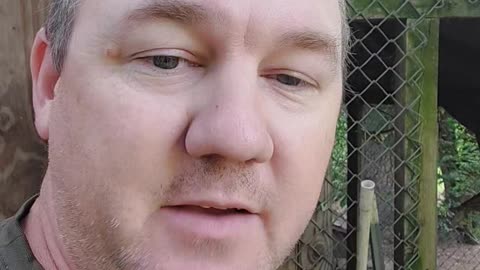 Bear troubles