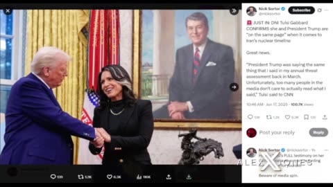 INFOWARS By INFOBEAR
