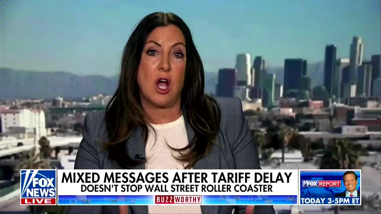 'Not going to be brainwashed': Fox News pundit slams Trump's tariff 'screw up'