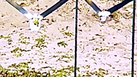Long Range Shooting Montage - Bullet Impacts in Slow Motion