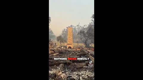 Benny Johnson on Cali fraud ..