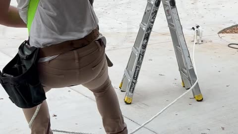 Puppy Helps Harness Safety Demonstration