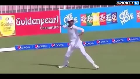 Funny Run Outs in Cricket