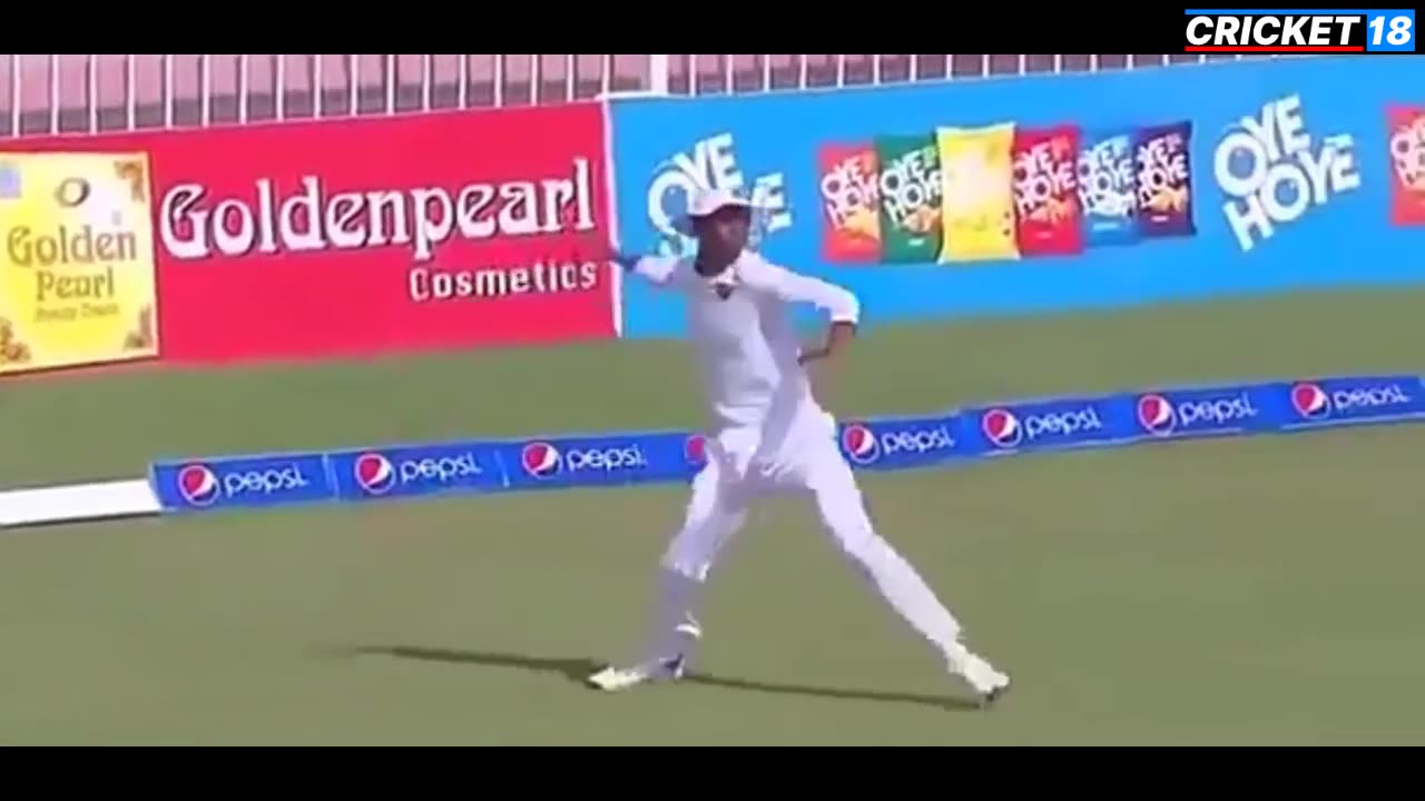 Funny Run Outs in Cricket