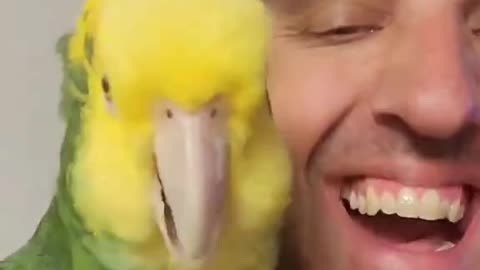 PARROT MANIA THURSDAY 2/5/26