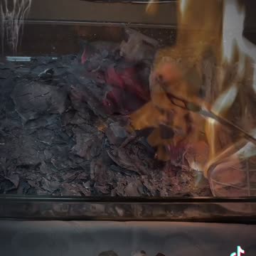 Tim Rifat TikTok Videos