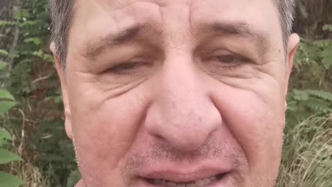 Sinteza
