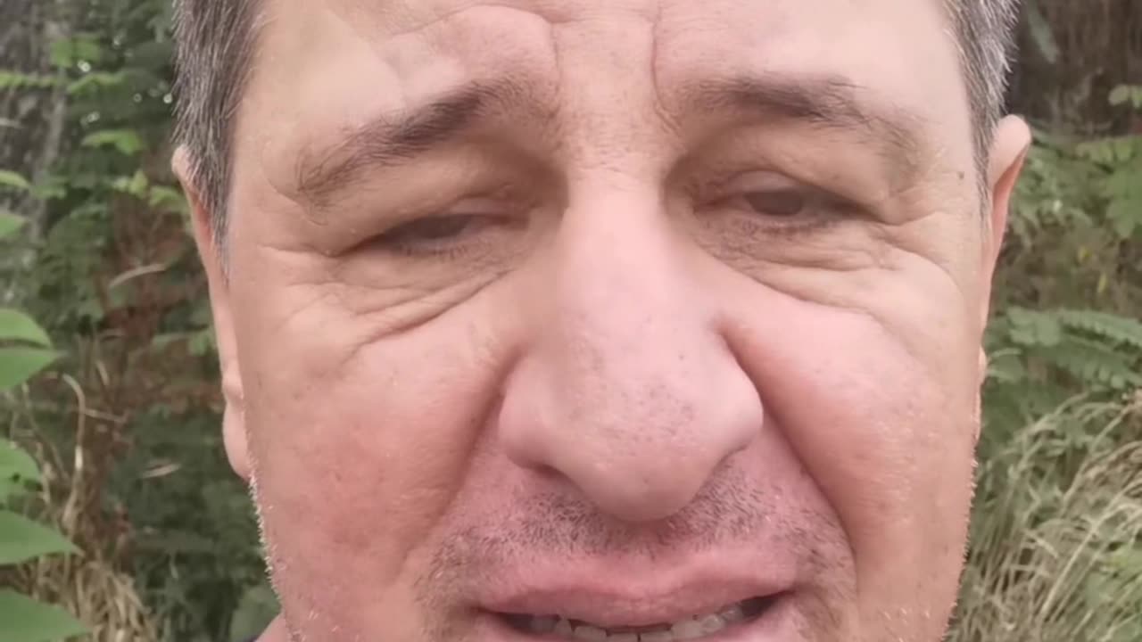 Sinteza