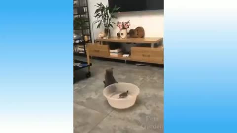 funny3