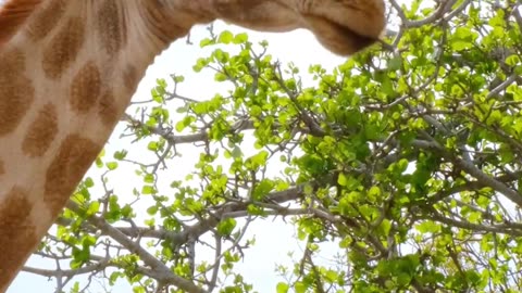 You Have a Power to Change Your World