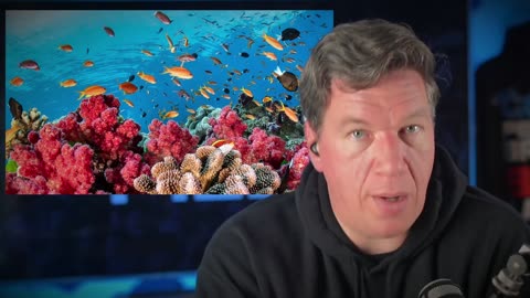 The Great Barrier Reef is doing GREAT! Just don't tell the grifters... The Topher Project Ep 144